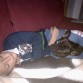 Jimbo durmiendo con mi hermano